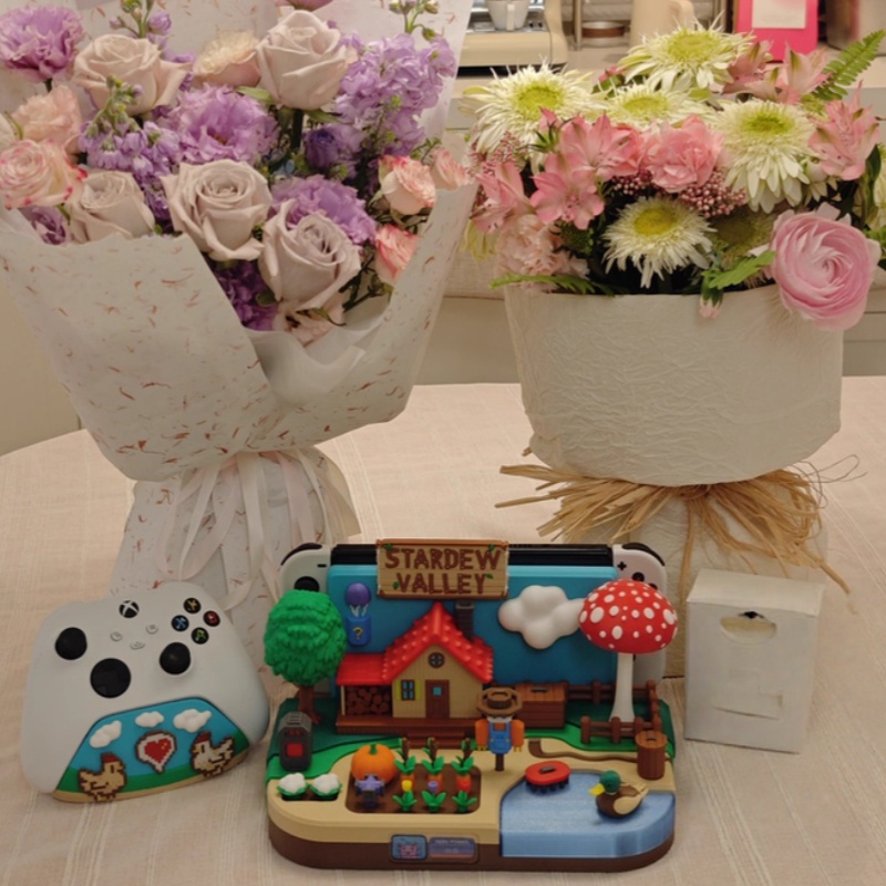 스위치 독 스타듀 밸리 팜 테마 장식용 충전 스탠드 스 - Gaming Console Holder 리뷰 및 가격